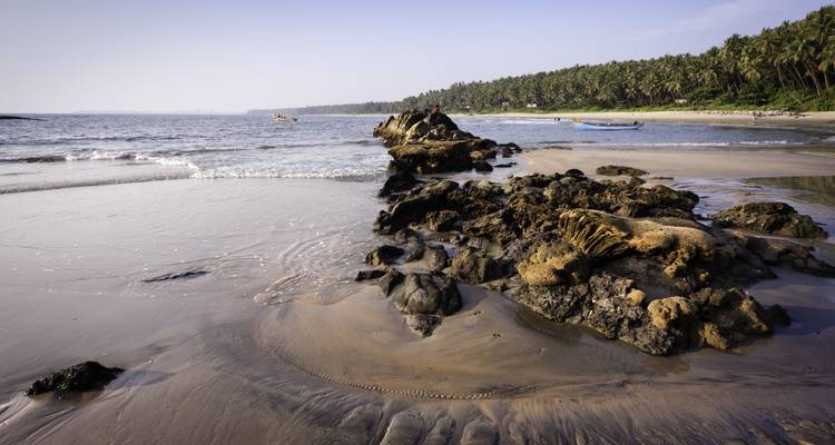 Coastal beach with palm trees and rocky shoreline.