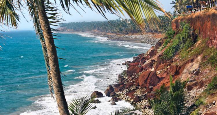 Rocky cliff coastline with waves crashing and palm trees.