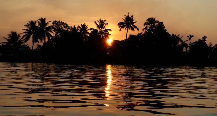 Sun setting behind palm trees reflected on calm water.