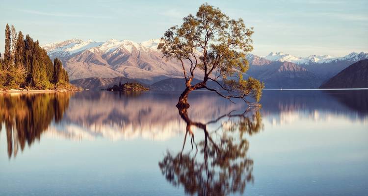 Arbre solitaire dans un lac avec montagnes et reflets.