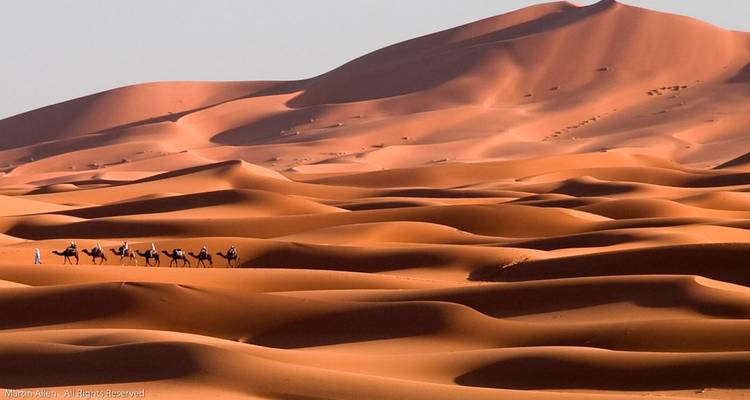Chameaux avec cavaliers traversant de vastes dunes de sable.