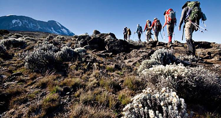Des randonneurs marchant le long d'un paysage aride avec une montagne au loin.