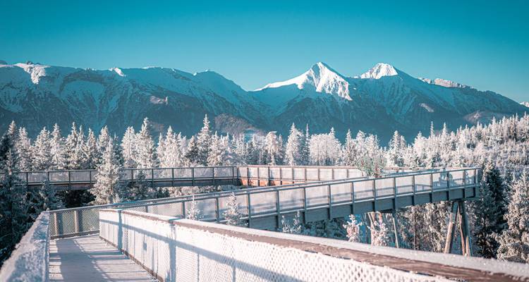 Winter Wellness Retreat Slovakia - Tatra Escapes 5