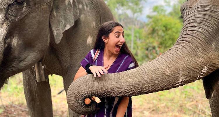 Femme interagissant avec des éléphants dans un cadre naturel.