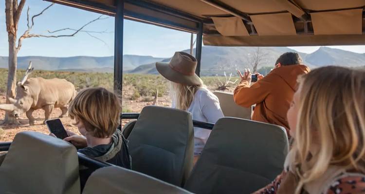 Tourists on a safari vehicle viewing rhinos.