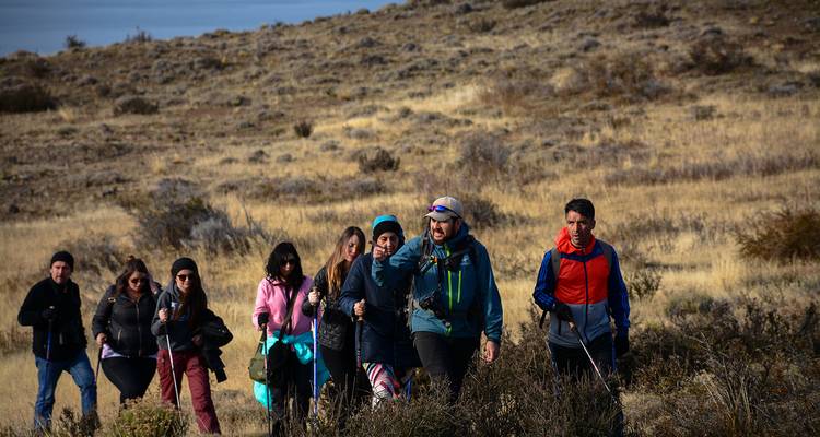 Trek en Patagonie : Le meilleur de Torres del Paine (5 jours / 4 nuits) - Gray Line Chile 4