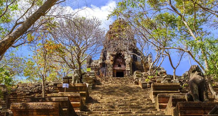 Steps leading to an ancient temple surrounded by trees.