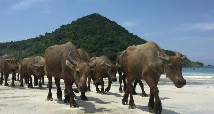 Secrets of Lombok - 5 days - On The Go Tours 3