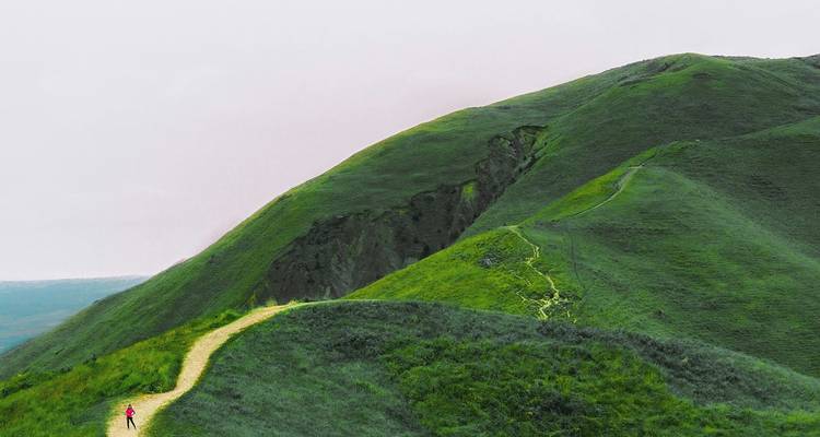 Un randonneur solitaire vêtu de rouge marche le long d'un sentier sinueux sur des collines verdoyantes ondulantes sous un ciel gris.