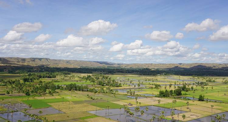 Extensos campos agrícolas en un paisaje rural bajo un cielo azul.