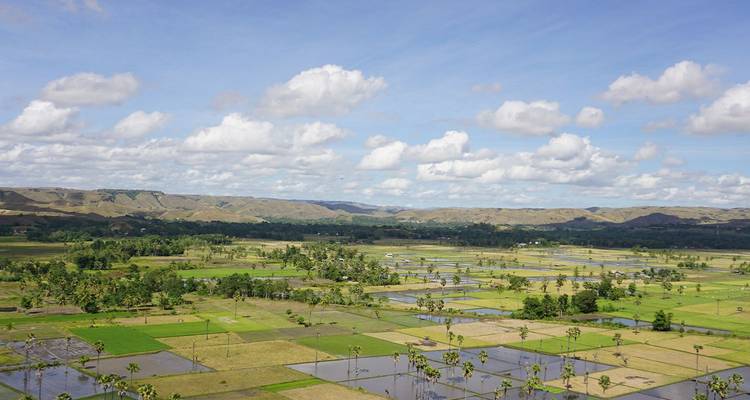Un vasto mosaico de arrozales y campos que se extienden hacia colinas distantes bajo un cielo de nubes esponjosas.