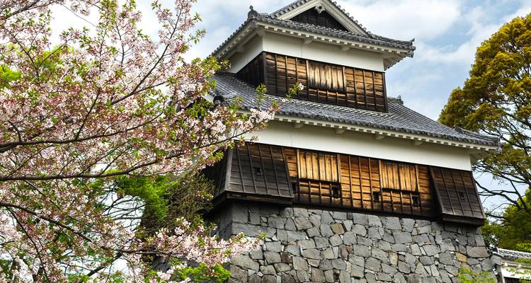 Small traditional castle with cherry blossoms in the foreground.
