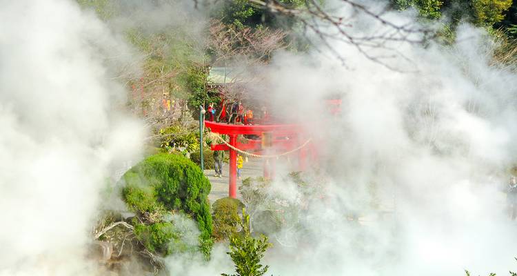 A misty landscape with red torii and trees in the background.