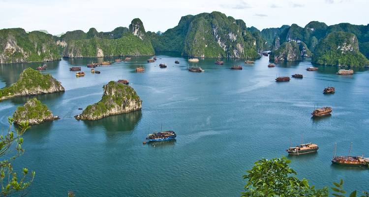 Large vue panoramique de la baie d'Halong avec des dizaines de jonques en bois ancrées parmi les îles calcaires boisées.