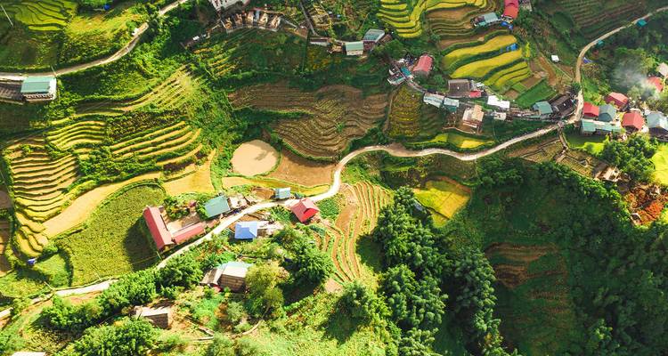 Toma aérea de campos de arroz en terrazas y pueblo.