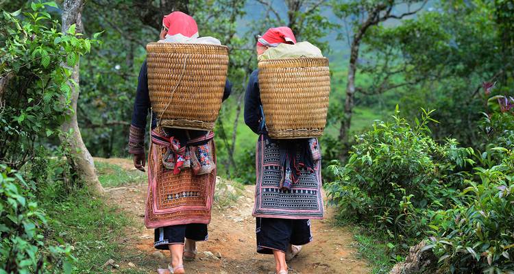 Dos personas caminando por un sendero cargando canastas en sus espaldas en un entorno verde y exuberante.