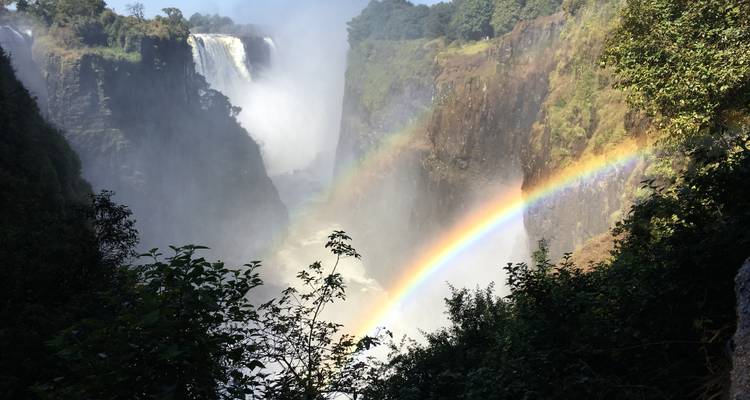 Waterfall with a rainbow over lush green surroundings.