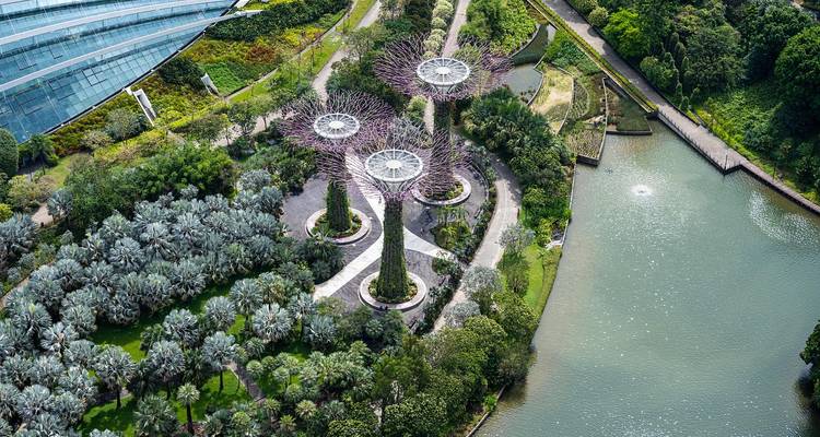 Vue aérienne de structures Supertree futuristes dans un paysage de jardin.