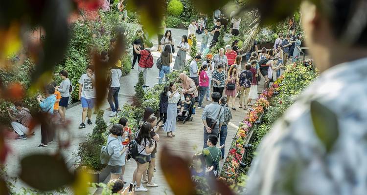 Allée bondée dans un jardin luxuriant avec des gens qui marchent.