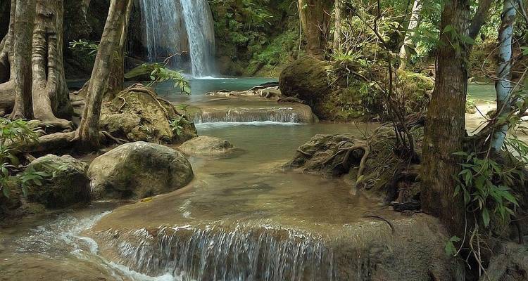 Beautiful waterfall cascading over rocks and trees in a lush forest setting.
