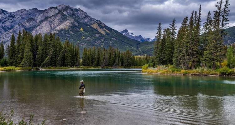 Person fly fishing in a serene mountain river with forested hills and cloudy sky.