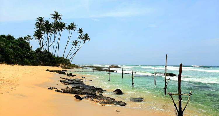 A tropical beach with palm trees and turquoise water.