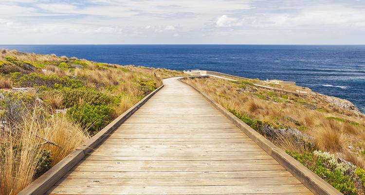 Kangaroo Island Adventure - Intrepid Travel 5