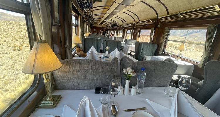 Interior de vagón de tren con disposición de comedor y vista panorámica exterior.