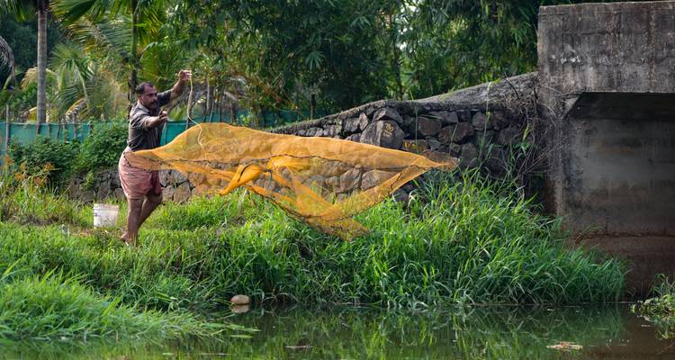 Fisherman casting a net into a green river in a lush setting.