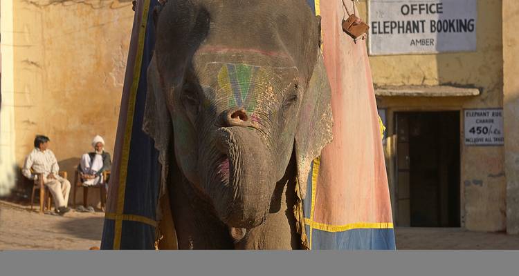 Interior ricamente decorado de una tumba real.