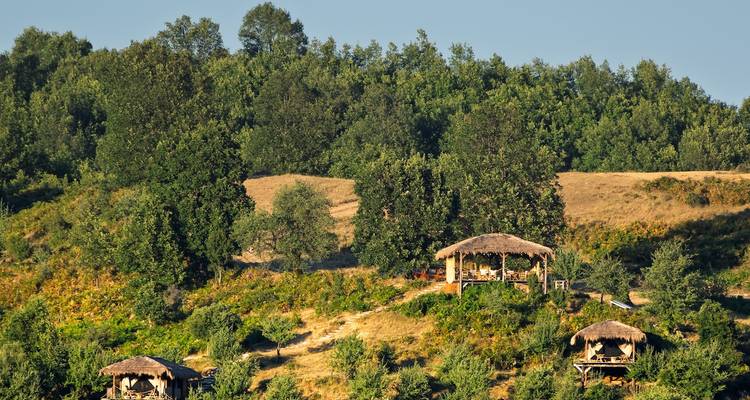 Cabanes en bois sur une colline entourées d'arbres.