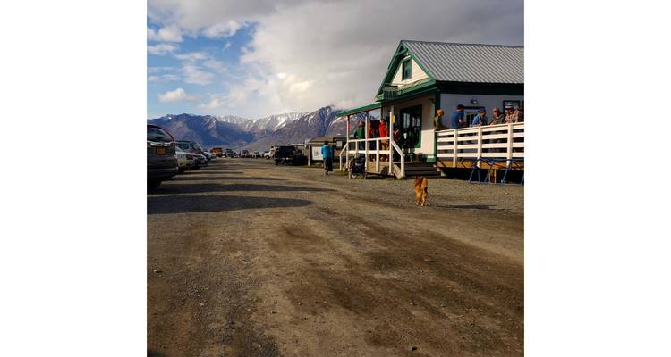 Road next to a house with parked cars and mountain view.