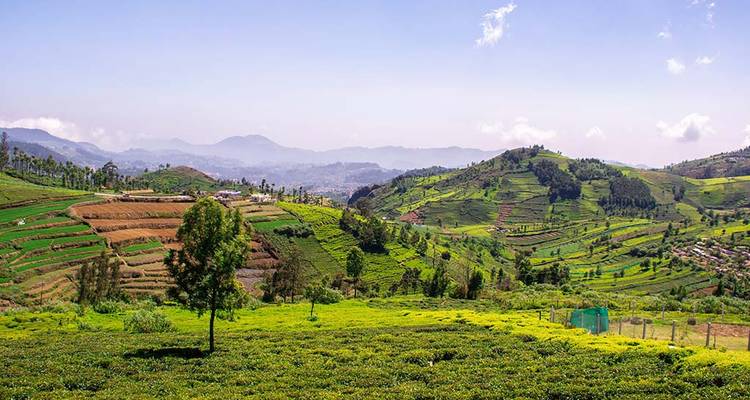 Ein malerischer Blick auf grüne Hügel und Ackerland.