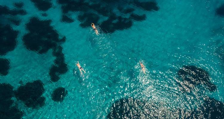 People swimming in clear blue water with a view of underwater cliffs.