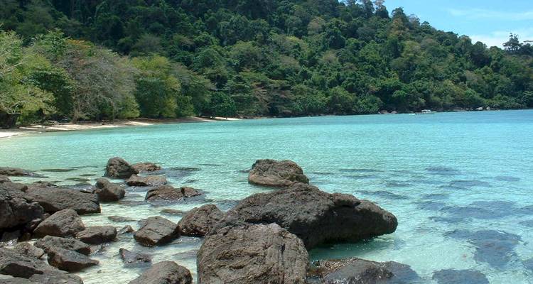 Playa tropical apartada con agua turquesa cristalina, promontorio boscoso y costa rocosa.