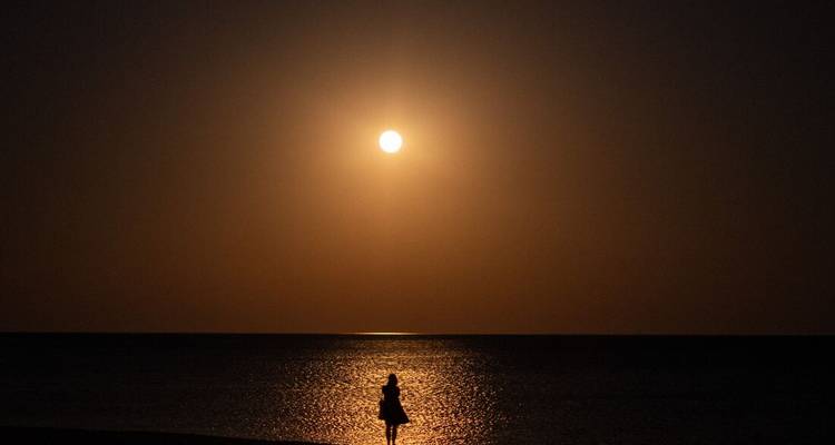 Night scene of a person standing on a beach during full moon.