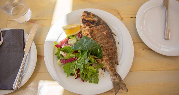 Grilled fish served on a plate with salad and a lemon wedge.