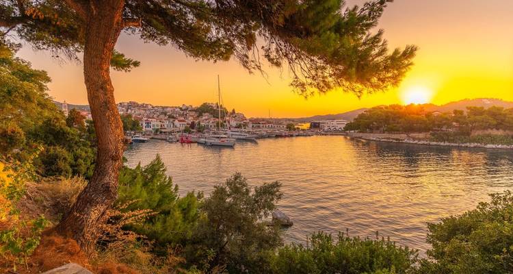 Sunset view of a harbor with boats and lush greenery.