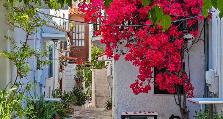 Charming alleyway with vibrant flowers in full bloom.