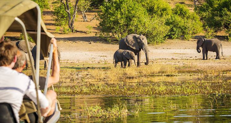 Tourists observing elephants by a river during a safari.
