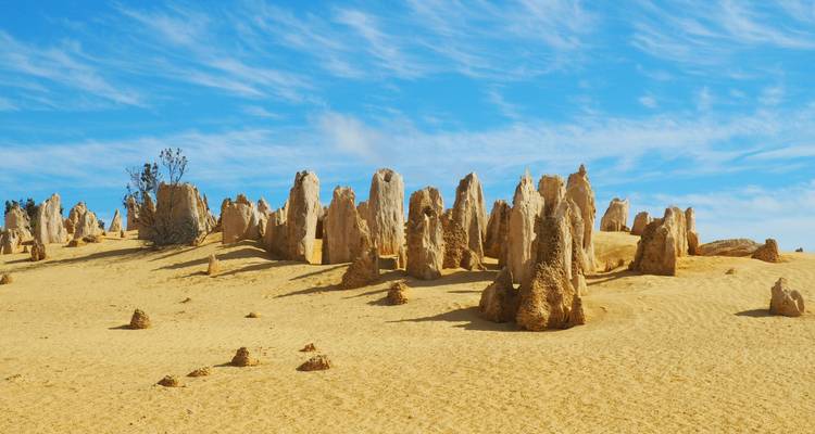 Desert landscape with unique limestone formations under a bright blue sky.