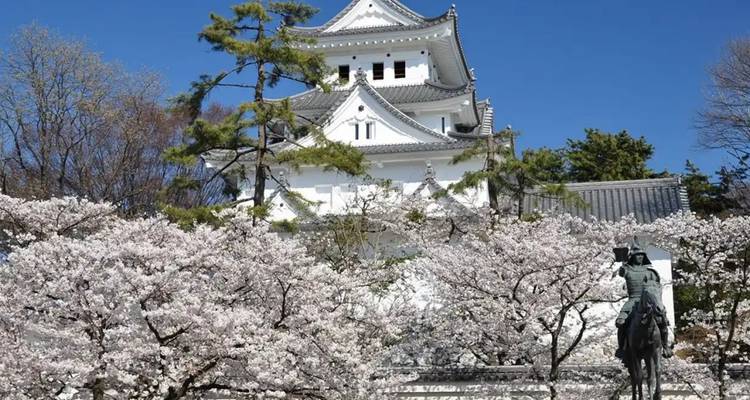 Castillo blanco rodeado de cerezos en flor.