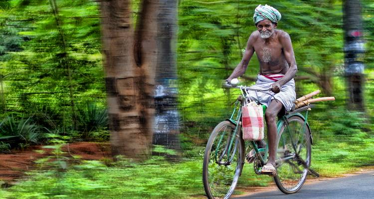 Homme âgé faisant du vélo sur une route ombragée avec des arbres en arrière-plan.