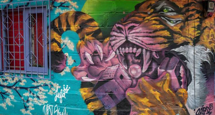Detailliertes Graffiti eines brüllenden Tigers und einer Cartoon-Maus, umgeben von lebendigen Farben, auf einer Stadtmauer.