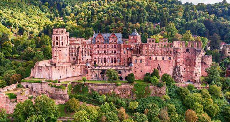 Vue aérienne d'un vaste château médiéval entouré d'une végétation luxuriante.