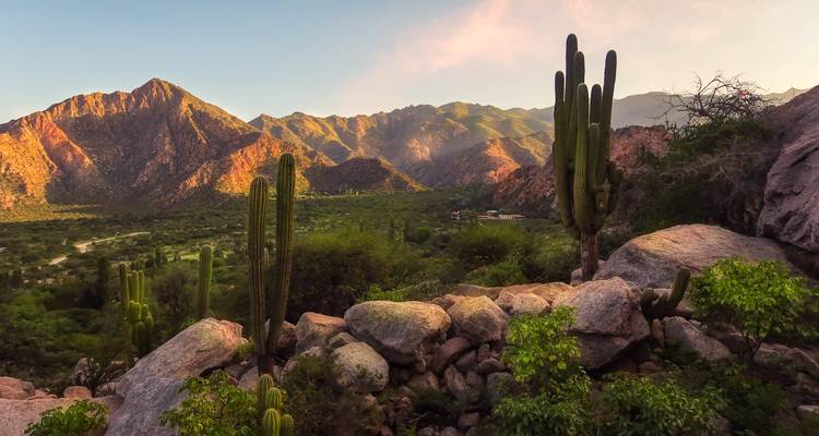 Malerische Wüstenlandschaft mit Kakteen und Bergen.