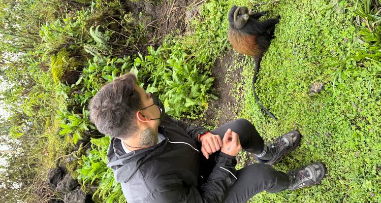Personne interagissant avec un petit singe dans la nature.