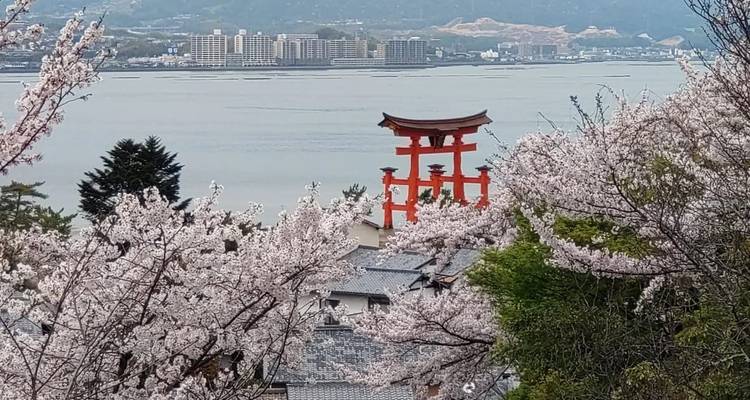 Porte torii entourée de fleurs de cerisier avec un paysage urbain de l'autre côté de l'eau.