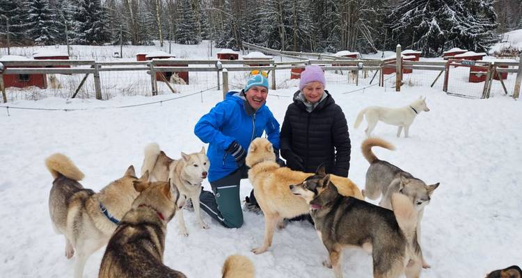 People surrounded by sled dogs in a snowy environment.