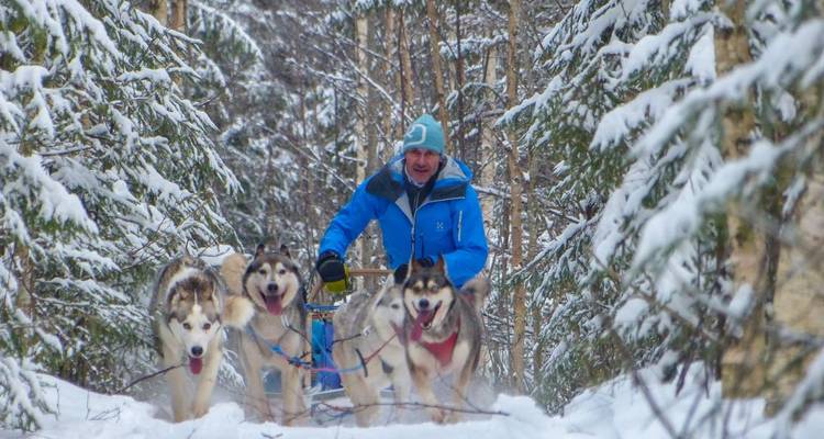 Man mushing sled dogs through a snowy forest.